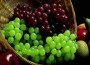 Диетологи рекомендуют ягоды как главного очистителя организма