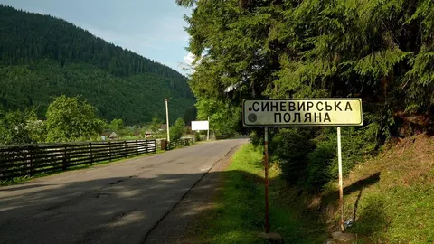 Синевирська Поляна: як гірське село розвиває туризм попри війну