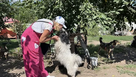 Надія Гора: 20 років дарує дім покинутим тваринам на Роменщині