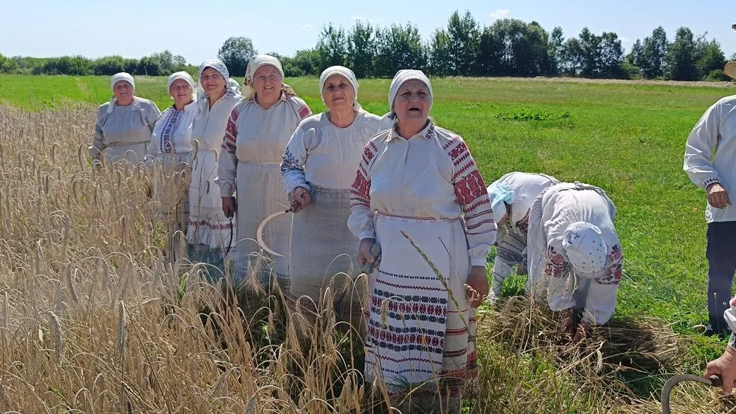 «Криниця» з Видерти: як на Волині співають жнивні пісні