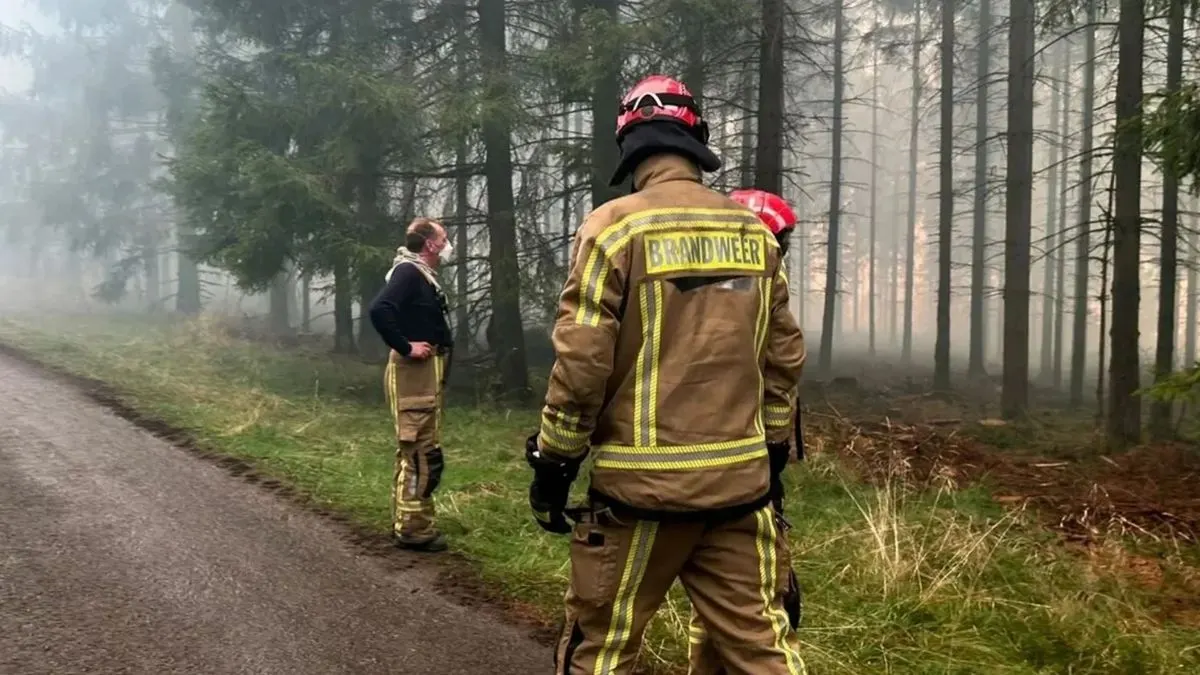 Вогонь біля кордону: Бельгія бореться з найбільшою пожежею в історії