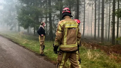 Вогонь біля кордону: Бельгія бореться з найбільшою пожежею в історії