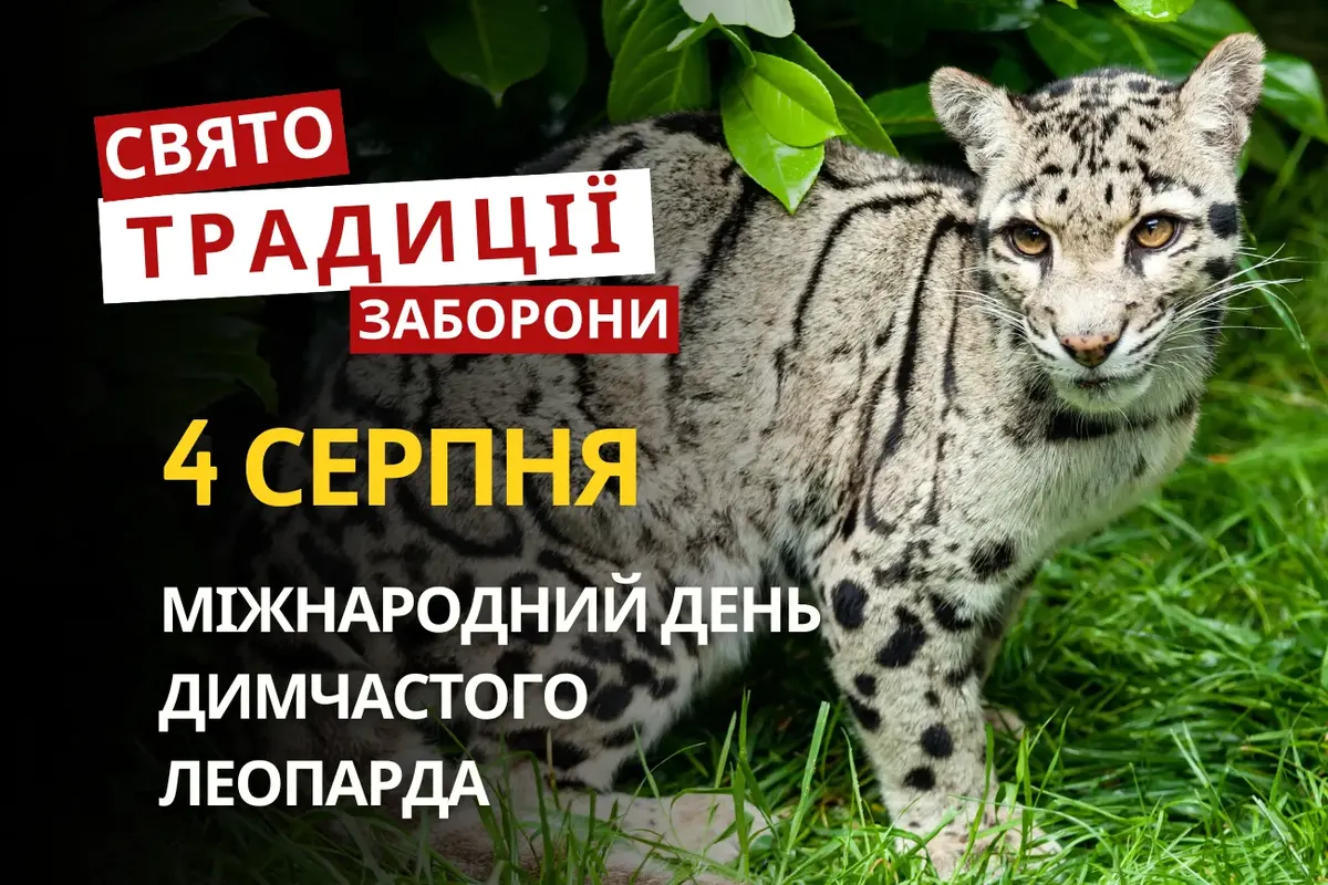 Явдоха-огіречниця: прикмети та свята 4 серпня