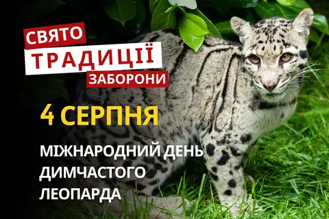 Явдоха-огіречниця: прикмети та свята 4 серпня