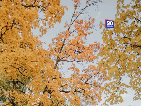 14 вересня: іменини Івана й Миколи, перший гелікоптер Сікорського та прикмети дн