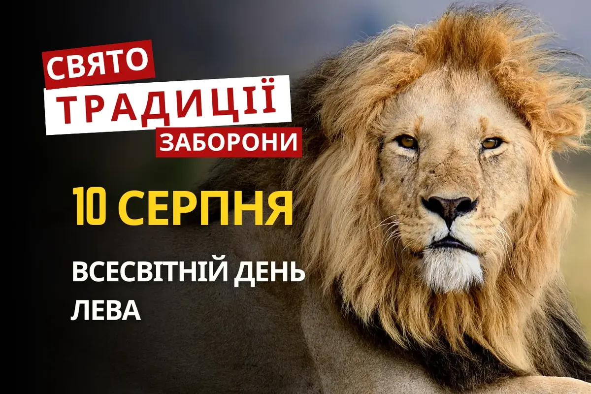 10 серпня: свято левів, пам'ять Лаврентія та народні прикмети