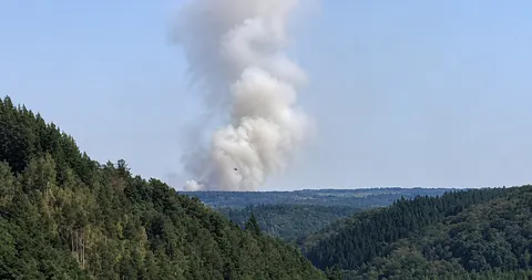 Бельгія бореться з найбільшою пожежею в історії: вогонь охопив 3000 гектарів