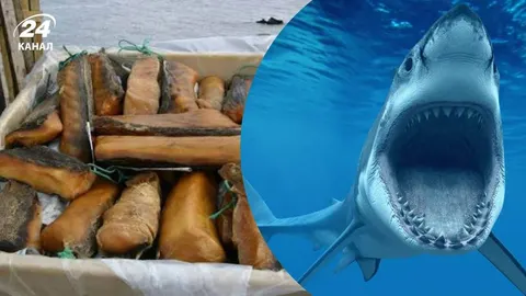 Хакарл: ісландський делікатес, який закопують, аби їсти