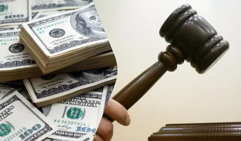 Сокіл за $346 тисяч: чому араби платять мільйони за птахів