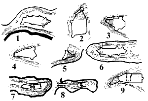 . 2.      : 1 -'-, 2 - , 3 - , 4 - , 5 - ǳ, 6 - , 7 - , 5 - , 9 - -