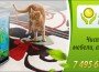 Разные подходы к чистке ковра